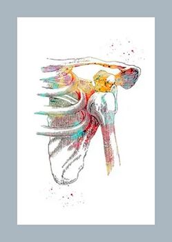 Zlepšenie mikrocirkulácie v kĺbových a svalových tkanivách